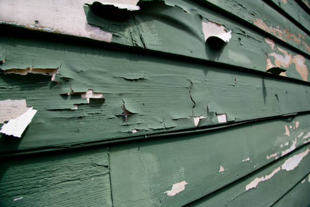 Best Electronics and E-Waste Disposal  in Braddock, PA